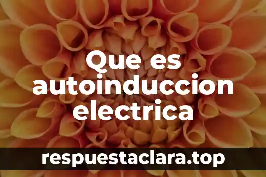 Que es autoinduccion electrica