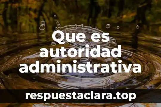 Que es autoridad administrativa