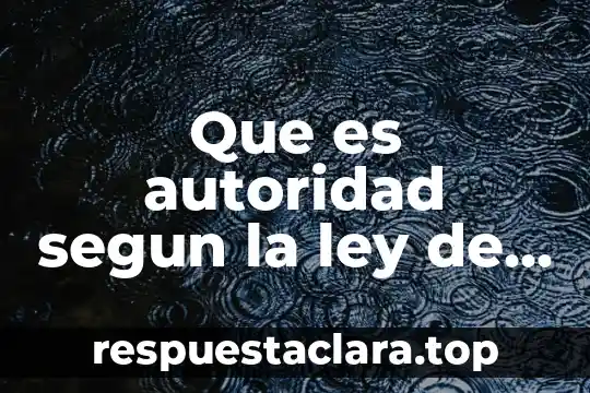 Que es la firma electronica amparo 6 Que es autoridad segun la ley de amparo