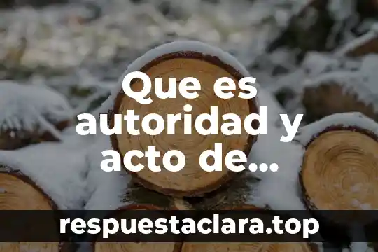 Que es un acto administartivo juridicas unam 4 Que es autoridad y acto de autoridad