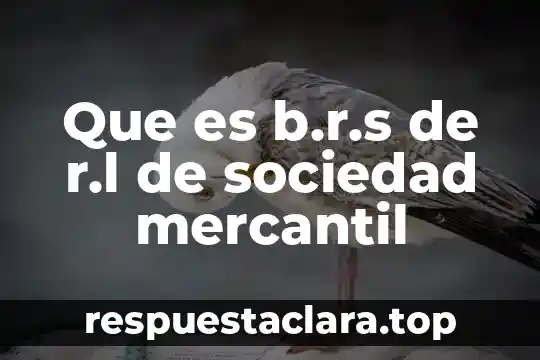 Que es un sociedad industrializada 7 Que es b.r.s de r.l de sociedad mercantil