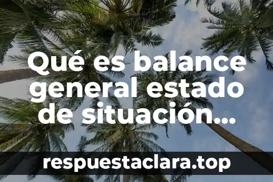 Qué es balance general estado de situación financiera