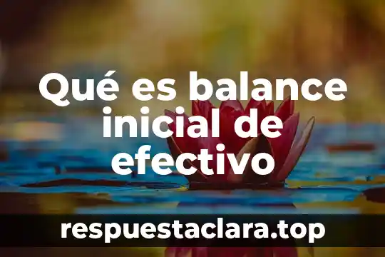 Qué es balance inicial de efectivo