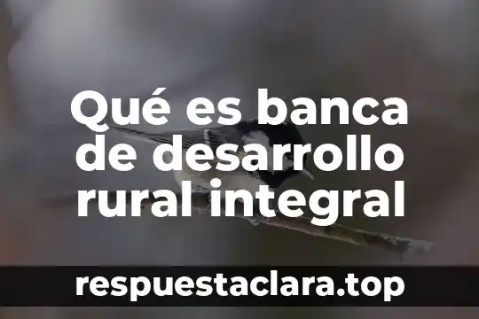 Qué es banca de desarrollo rural integral