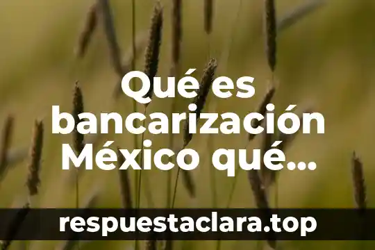Qué es bancarización México qué lugar ocupa en América Latina