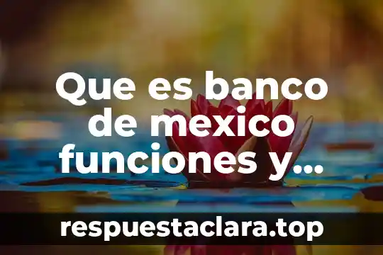 Que es banco de mexico funciones y caracteristicas