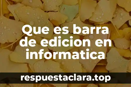 Que es barra de edicion en informatica