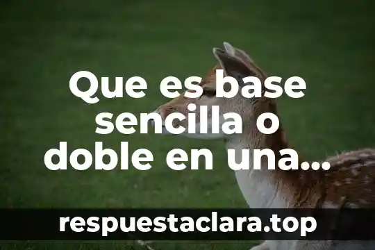 Que es base sencilla o doble en una habitacion