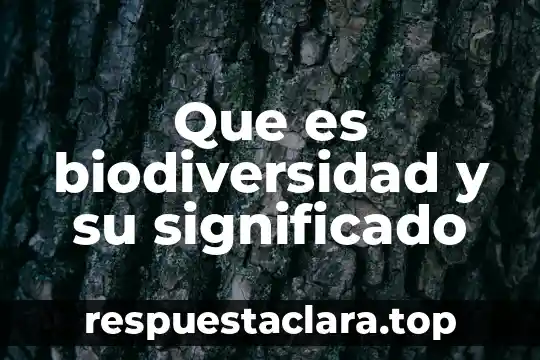 Qué es fetiches significado 8 Que es biodiversidad y su significado