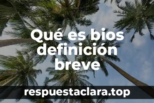 Qué es bios definición breve