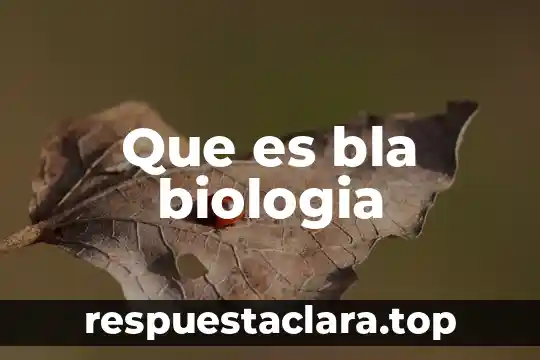 Que es lateralidad en biologia 3 Que es bla biologia