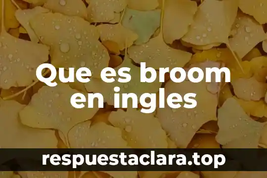 Que es broom en ingles