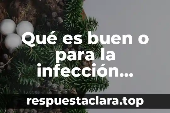Qué es buen o para la infección vaginal mal olor
