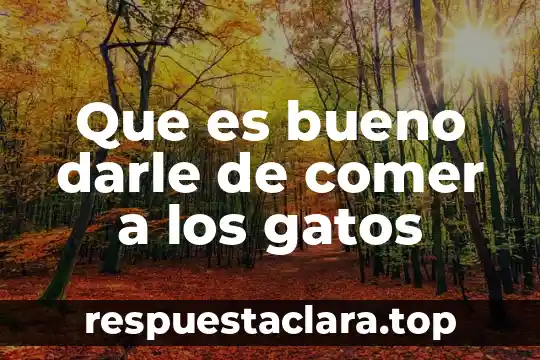 Que es bueno darle de comer a los gatos