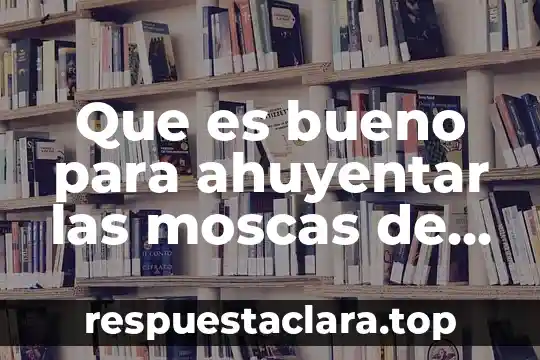 Que es bueno para ahuyentar las moscas de los perros