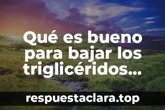 Qué es bueno para bajar los triglicéridos rápidamente
