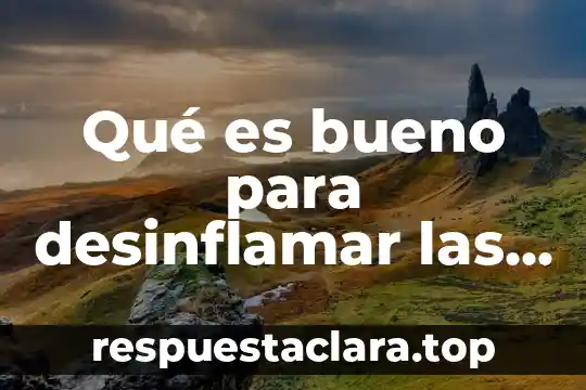 Que es significa sistema operativo 6 Qué es bueno para desinflamar las anginas