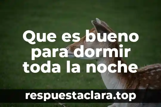 Que es cuartos noche definicion 3 Que es bueno para dormir toda la noche