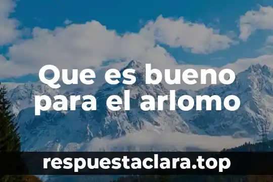Que es bueno para el arlomo