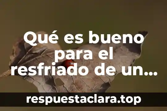 Qué es lo más importante para un bebé recién nacido 4 Qué es bueno para el resfriado de un bebé