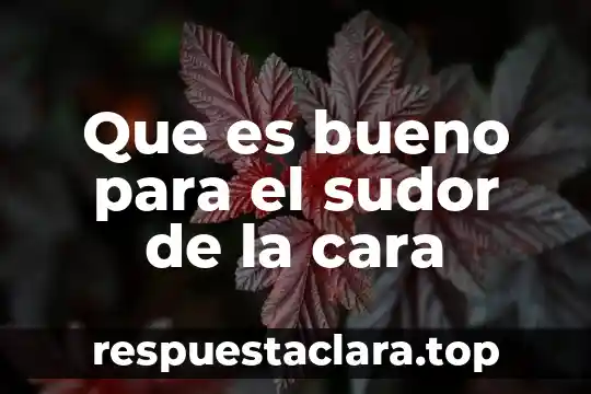 Que es bueno para el sudor de la cara