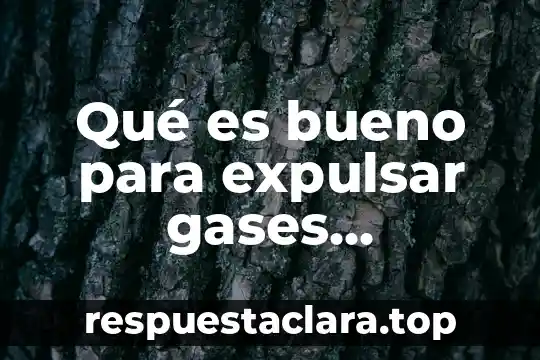 Qué es bueno para expulsar gases intestinales