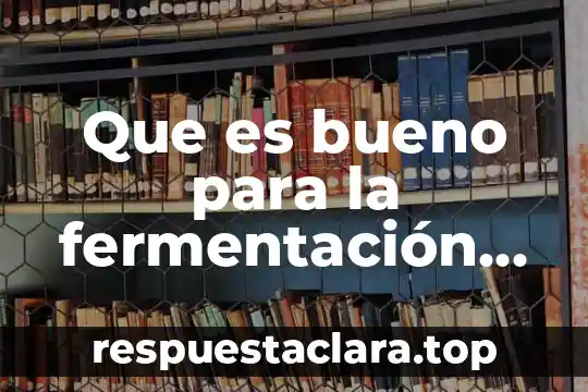 Que es ser autoeficaz 4 Que es bueno para la fermentación del estómago
