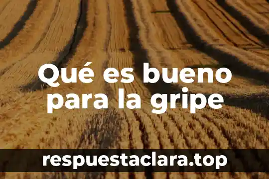 Qué es bueno para la gripe