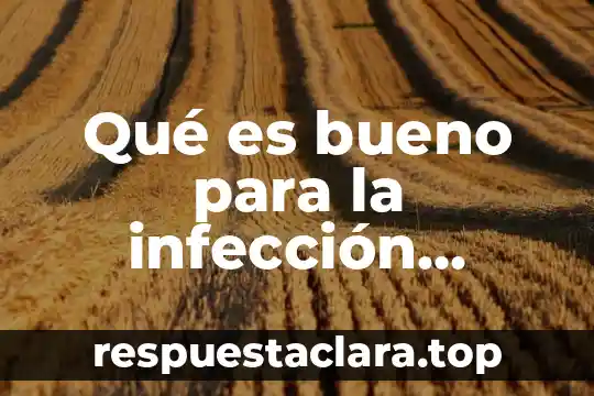 Qué es bueno para la infección estomacal de un bebé