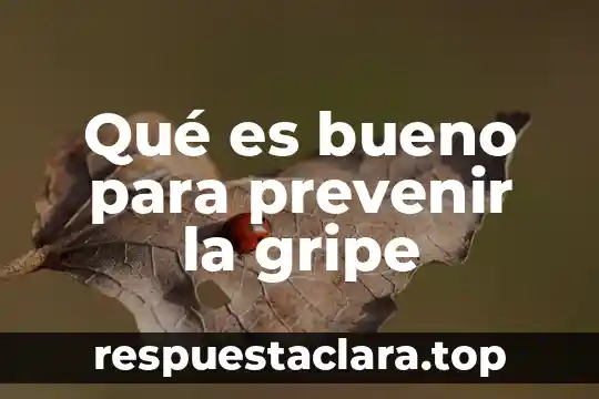 Qué es bueno para prevenir la gripe