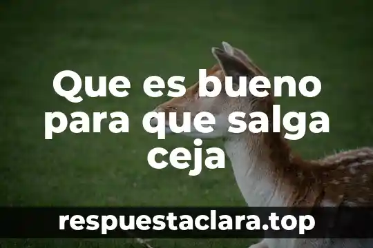 Que es bueno para que salga ceja