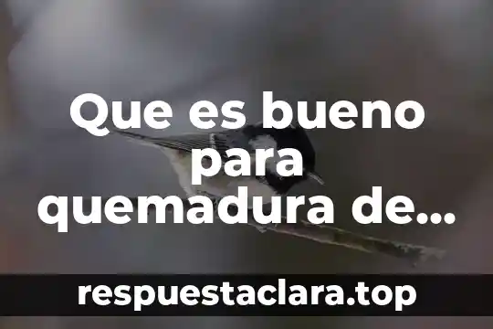 Que es bueno para quemadura de sol en la espalda y cara