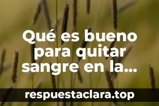 Qué es bueno para quitar sangre en la orina