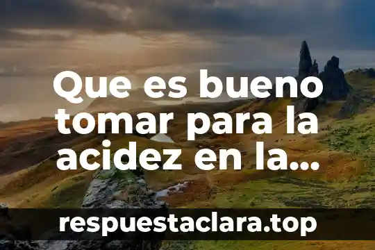 Por que es bueno tomar lechada de soja 6 Que es bueno tomar para la acidez en la garganta