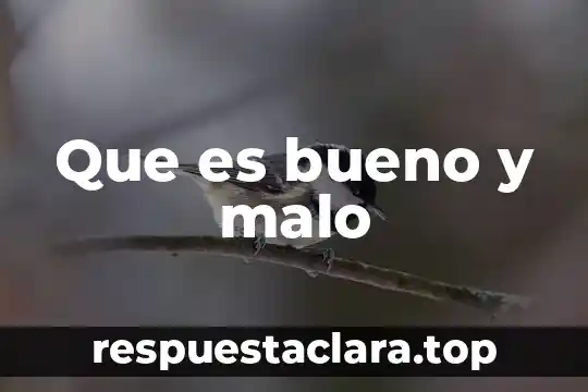 Qué es bueno para las flemas en los bebés 8 Que es bueno y malo