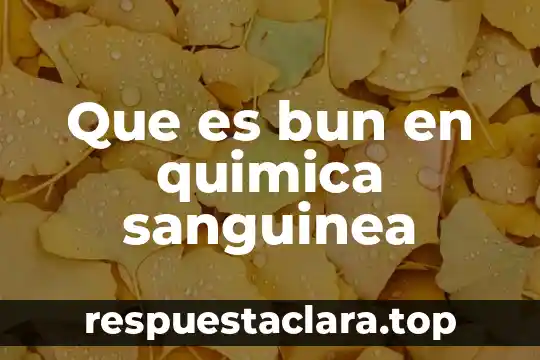 Qué es un equipo de química sanguínea 7 Que es bun en quimica sanguinea