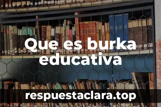 Que es burka educativa