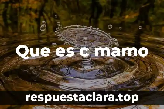 ¿Qué es el problema error CS0017 en C? 6 Que es c mamo