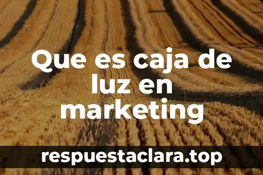 Asociación americana de marketing que es una marca 5 Que es caja de luz en marketing