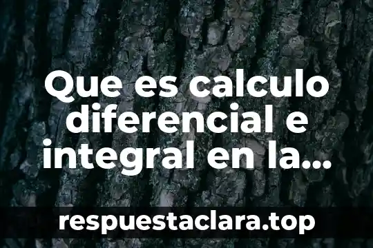 Que es una funcion en calculo diferencial mapa conceptual 4 Que es calculo diferencial e integral en la sociedad acual