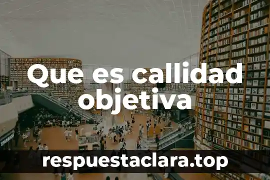 Concepción objetiva que es 8 Que es callidad objetiva