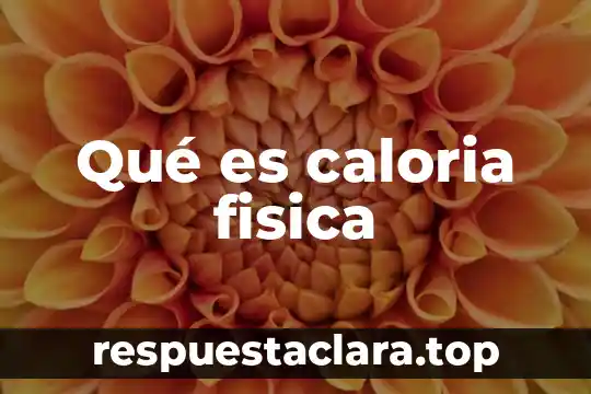 Qué es caloria fisica