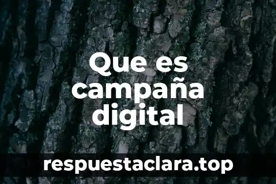 Que es campaña digital