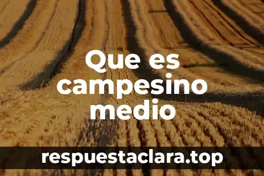 Que es el nacionalismo en el arte 3 Que es campesino medio