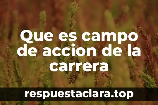 Que es un simukacro de campo 5 Que es campo de accion de la carrera