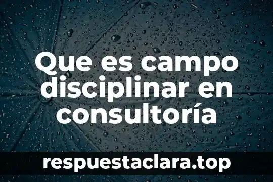 Que es campo disciplinar en consultoría