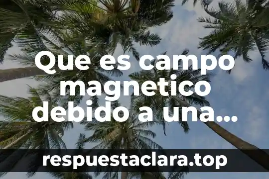 Que es campo magnetico debido a una corriente