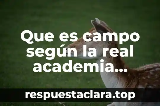 Que es campo según la real academia española