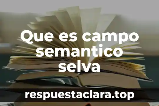 Qué es análisis semántico de la arquitectura 7 Que es campo semantico selva