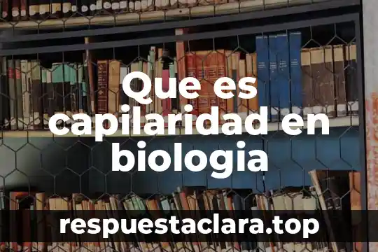 Recesivo que es en biologia 5 Que es capilaridad en biologia